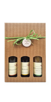 Geschenk-Karton "3er Apfelsäfte groß" 3er_apfelsafte_gross